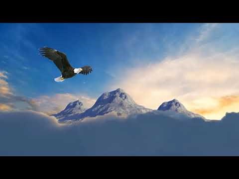 Paramount/Republic Animation logo (2019) with the real ViacomCBS byline