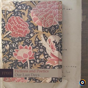 Autumn Windows by Fictions and Poetics