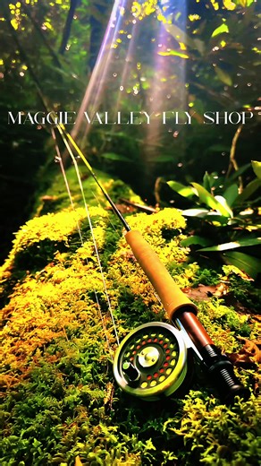 Who’s ready for spring? The Smoky Mountains are some of the most diverse and amazing places to fly fish, from Native Brook Trout in the upper elevations to Wild trout caught pretty much everywhere in our region. Spring is not far away! @Maggie Valley Fly Shop #greatsmokymountains #westernnorthcarolina #traveltiktok #flyfishing #maggievalleyflyshop