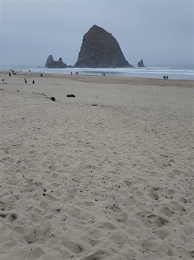 Experiencing Haystack Rock: A Dream Come True