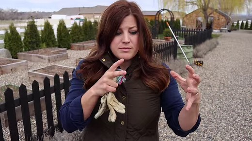 172K views · 6.1K reactions | Our Sweet Romance lavender is a 'top favorite' for those who are fortunate enough to have it in their garden. So it's no surprise that we get many questions on our feedback site about how to trim and care for this zone 5-9 perennial. Luckily, Laura Garden Answer also has our lavender in her garden...here are her tips on how to keep it looking wonderful all year long! pwwin.rs/SRom | Proven Winners | Facebook