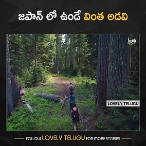 1.3M views · 20K reactions | Mysterious Forest In Japan Top Interesting and Unknown Facts In Telugu Telugu Facts For more videos : https://bit.ly/2TpCGkZ | Lovely telugu | Facebook