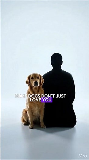 Top 5 Guard Dogs That Will Protect Your Family at any Costs 🐕 #dog #animals