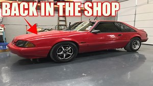7.5K views · 248 reactions | My fox is back in the shop to finish up the a/c wiring. Plus: build updates on all of the insane foxes at the shop! #FOXCASTNATION #STANGTEAMNPD | Foxcast Media | Facebook