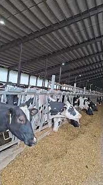 4,500 cows and a biomethane plant for 24 years!