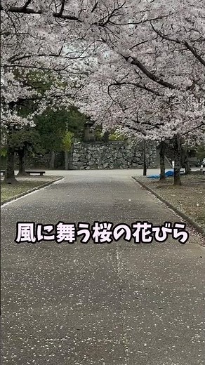 ライズで城巡り！徳島城の歴史に触れ、室戸の波音を聴きながら車中泊晩酌する夜#日本一周 #城巡り #徳島城 #ドライブ #室戸岬 #車中泊