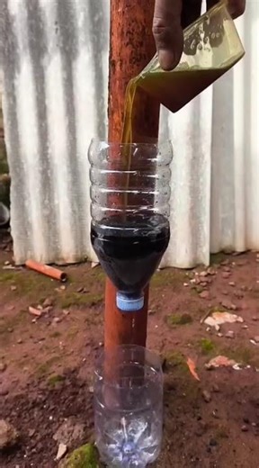 The process of filtering used cooking oil using charcoal to make it clean#shorts