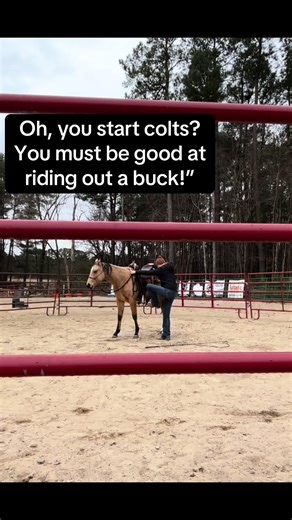 Effective Colt Starting Techniques for Beginners