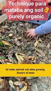626K views · 2.8K reactions | #soildecomposer #farming #farm #farmlife #highlightsシ゚ #viralvideoシ #trendingreels #everyonefollowers #farmingtips #organicfarming #Amazing #ideas #diy #intertainment #reelsfypシ #reelsviralシ #trend #trendingvideo #viralpost #viralpage #follower #reels #reel #viral #trending #trendingvideo #canaan #bodegasale | Canaan Fertilizer Foliar Original Main Direct Factory | Facebook