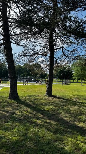 Eliane Cavatti on Reels