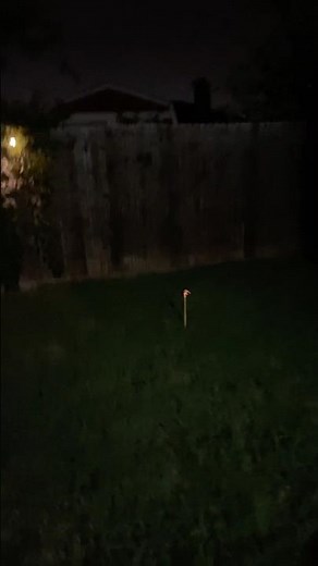 Firework called “Roman candle”