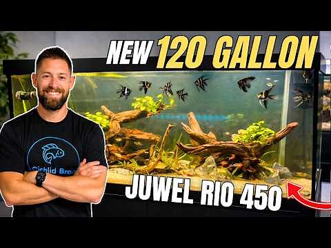 New 120 Gallon Aquarium Setup! Juwel Rio 450 (Start to Finish)