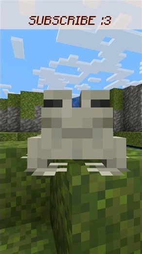 THE POND NEEDS SOMETHING!! IT LOOKS SO BASIC #minecraft #minecraftmeme #memes