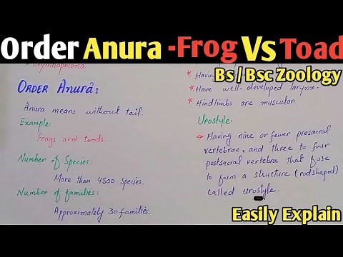 Order Anura | General Characteristics And Classification Of Anura | Class Bsc Zoology