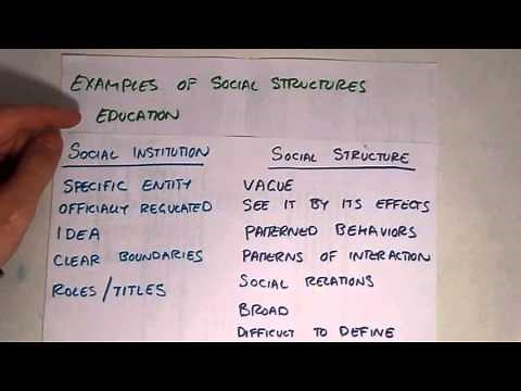 social structure