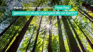 1K views · 17 reactions | Why sequence life?  With genome sequencing technologies brought to fruition, we are unlocking revolutionary insights that can protect and restore biodiversity.  Check out the video for the future of life 溺 #BGIChina #BGIGeneTest #insight | BGI Genomics | Facebook