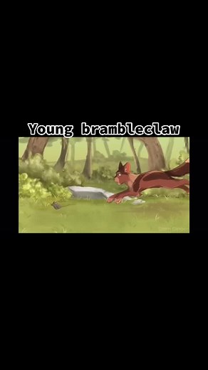 Brambleclaw✨ #brambleclaw #warriors #warrior #cat #cats #warriorcats