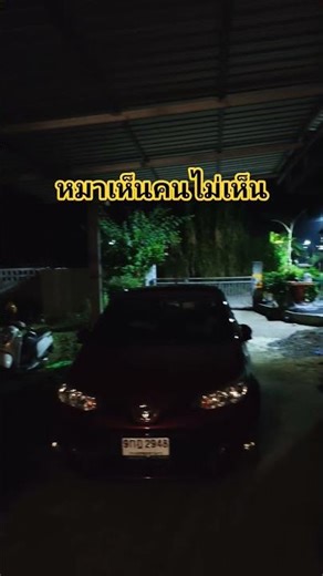 The whole village is howling and terrified because of you guys! / The dogs howl every night.