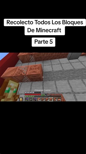 Recolecto Todos Los Bloques De Minecraft #Minecraft #Hardcore #paratí #fyp #siguemeparamas