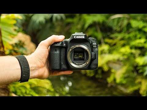 Canon 90D Long Term Review - Don’t Buy It!?