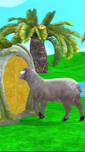 Animal Cartoons for Kids: Fun and Education