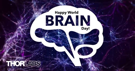 Today is World Brain Day! This year’s theme, “Brain Health for All Ages,” highlights the importance of supporting neurological well-being at every stage of life. At Thorlabs, we are honored to contribute to this mission by developing advanced imaging and diagnostic tools that help researchers better understand the brain.From expanding access to high-quality technology to empowering the scientific community through innovation, we remain committed to advancing brain health for all! #Imaging #Medic