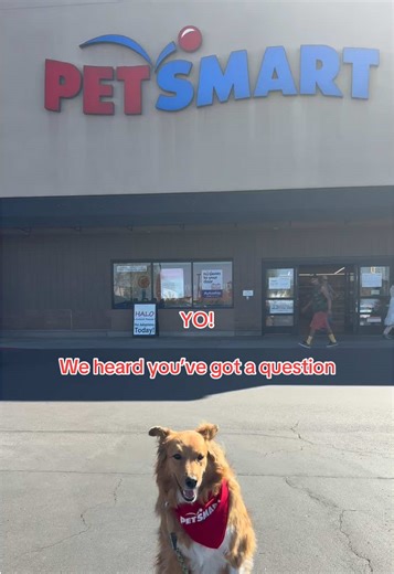 Solve the Mystery: Pet Smart or Pet's Mart?