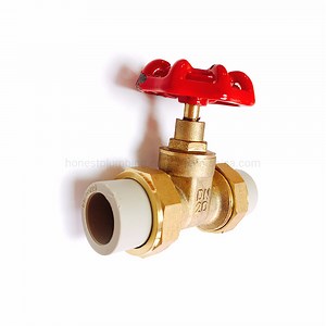 [Hot Item] Brass Gate Valve Connection with PPR Pipe