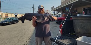 New state record for N.C. catfish