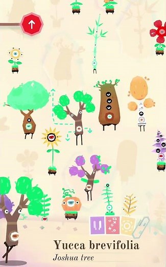 30 toca lab plants 07