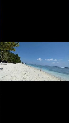 Maldives Paradise 🌴| Stunning Ocean Views in 4K