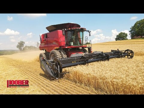 Lease Bros Wheat Harvest Case IH 7250 & 8250
