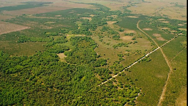 Florida Wildlife Corridor eases worst impacts of climate change