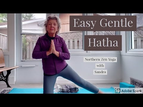 Senior Hatha 40 min class