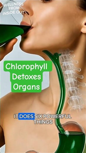 Why Chlorophyll Is Good for You. #wellnessfrominsideout #chlorophyll #healthexplained