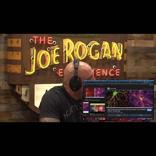 59K views · 745 reactions | Joe & The Guests Talking About Fractal Nature Of Universe & Human Brain & Illusion Of Control #Science #Myth #Facts | Experience Exchange | Facebook