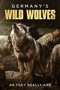 Germany's Wild Wolves - As They Really Are - Movie