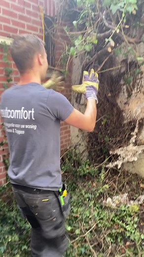 Jarne Aerts sur TikTok