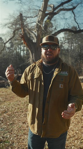 @tree_dimensionssc on Instagram: "This tree looked totally fine from the ground, but a day later... Not so much 😅 Rot hides and gravity don’t care. These are things homeowners can’t see until it’s too late. That’s why we inspect. That’s why we act. And since we were already there, we handled a second tree same day! In. Out. Risk gone. Stress gone ✅"