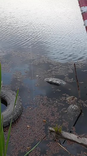 hmel_dobro on TikTok