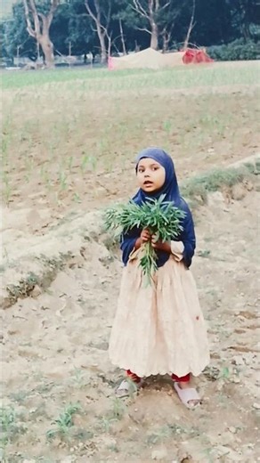 Qudsiya Fatima shorts ❤️❤️ #viralmusic #duet #deeni #love #viralsong #nature #viralvideo #beautiful