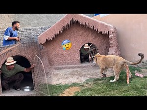 ||CHALLENGE|| Wahab Bhiya Ko Liger K Cage Main Bnd Kr Diya😰