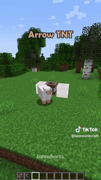 Minecraft But More TNT😱 #minecraft #shorts | minecraft