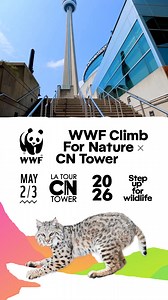 Take Toronto’s tallest challenge on May 2-3! Climb the CN Tower's 1,776 steps to help wildlife, nature and people thrive. | WWF-Canada