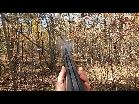 Grouse and Woodcock Hunting Without a Dog - Swings and Misses | Wisconsin Upland Hunting