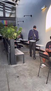 98K views · 5K reactions | Rufus is not above begging #dogs #dogphotographer | The Dogist Fan | Facebook