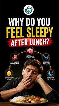 Why Do I Feel Sleepy After Eating? | Doctor Explains