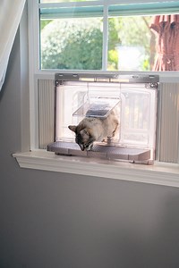 Vistagato Cat Window Patio, Catio - Etsy