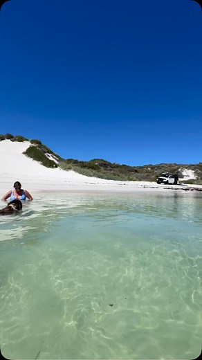 🌊 A Perfect Day at Sandy Cape 🌊 Tucked up in the cosy corner of Sandy Cape, we had the ultimate beach day—calm turquoise waters, soft white sand, and a salty breeze that made everything feel just right. 🌞⚓ We spent the day soaking it all in, with Oz loving every minute of exploring the shoreline. These are the kind of simple, perfect days that make life on the road so special. Who else has spent time at Sandy Cape? Let us know your favourite spots! 👇 #OurSaltyLife #SandyCape #BeachDays #VanL