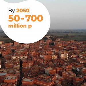 By 2050, migrations will increase due to a combination of climate change and land degradation.   To prepare for this scenario, #plantbreeding plays a key role in developing crops with increased yields and climate-stress resiliance. ️️ #SDG2 #ZeroHunger #EmbracingNature United Nations Food Systems Summit 2021 #FoodSystems #UNFSS2021 | Euroseeds | Facebook